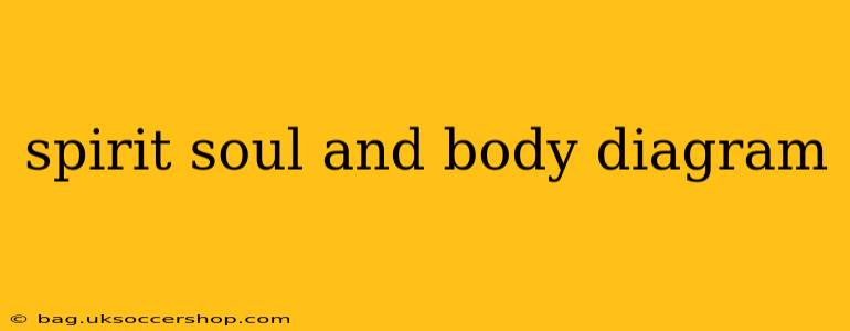 spirit soul and body diagram