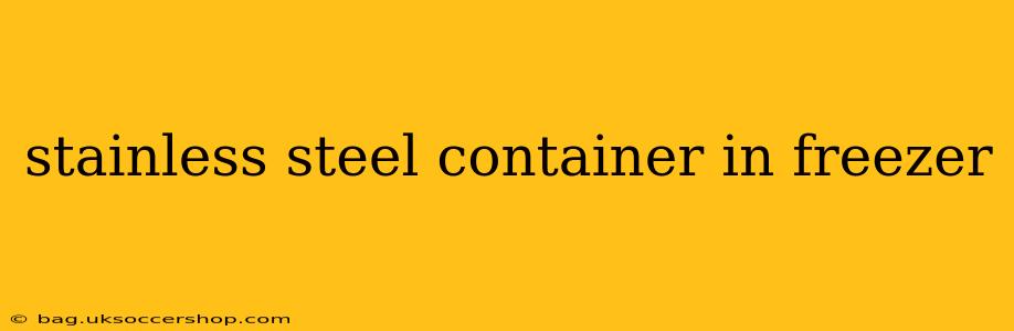 stainless steel container in freezer