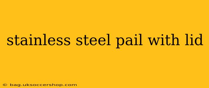 stainless steel pail with lid