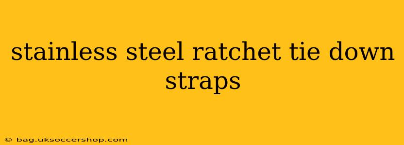 stainless steel ratchet tie down straps