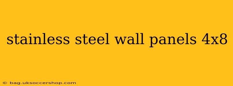 stainless steel wall panels 4x8