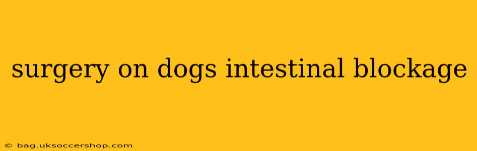 surgery on dogs intestinal blockage