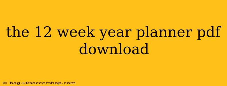 the 12 week year planner pdf download