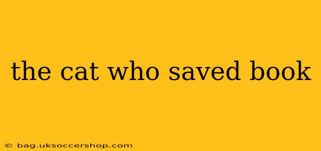 the cat who saved book