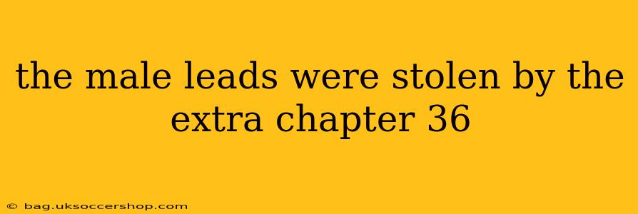 the male leads were stolen by the extra chapter 36