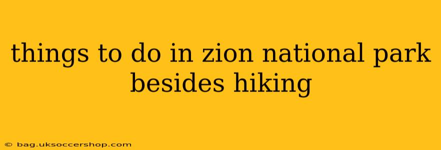 things to do in zion national park besides hiking