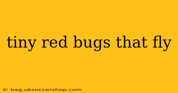 tiny red bugs that fly