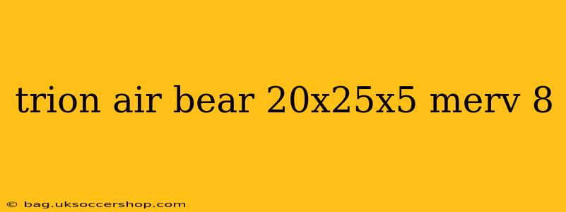 trion air bear 20x25x5 merv 8