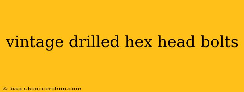 vintage drilled hex head bolts