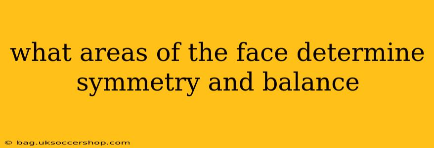 what areas of the face determine symmetry and balance