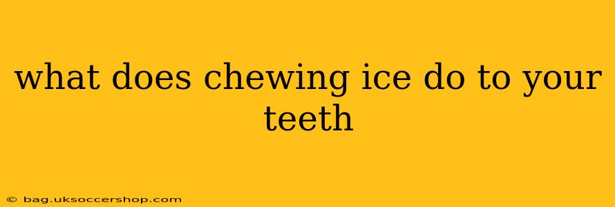 what does chewing ice do to your teeth