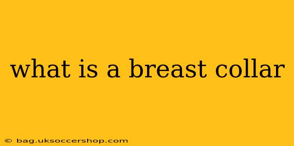 what is a breast collar