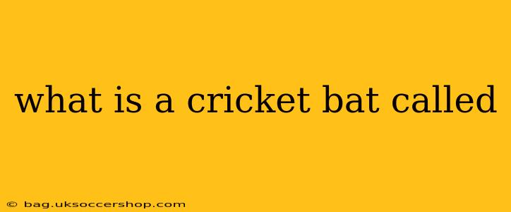 what is a cricket bat called