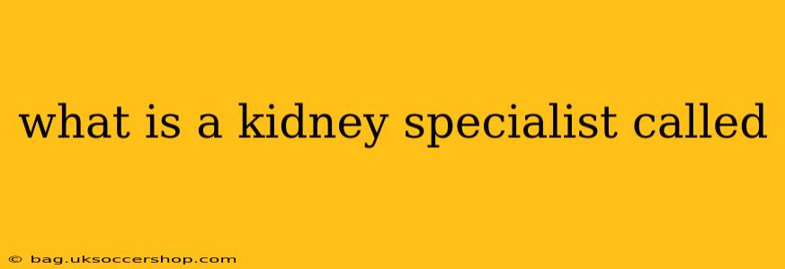 what is a kidney specialist called
