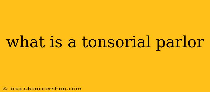 what is a tonsorial parlor
