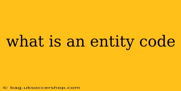 what is an entity code