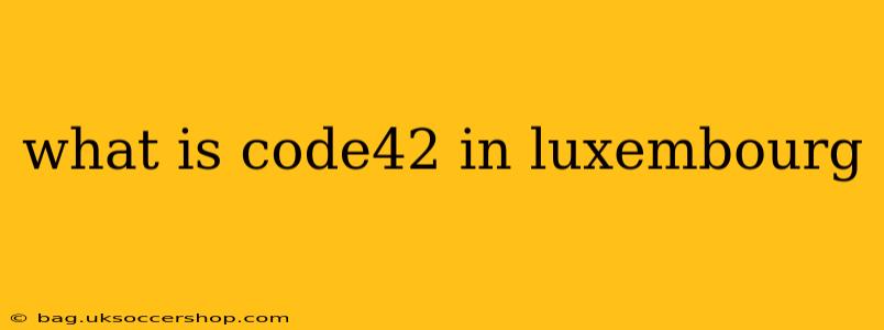 what is code42 in luxembourg