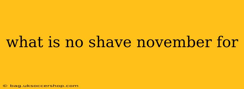 what is no shave november for