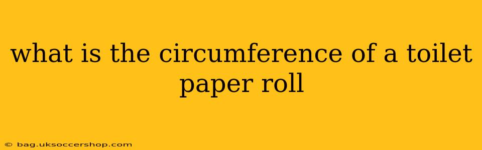 what is the circumference of a toilet paper roll