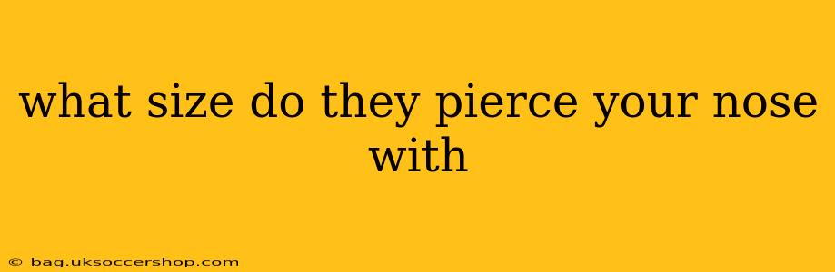 what size do they pierce your nose with