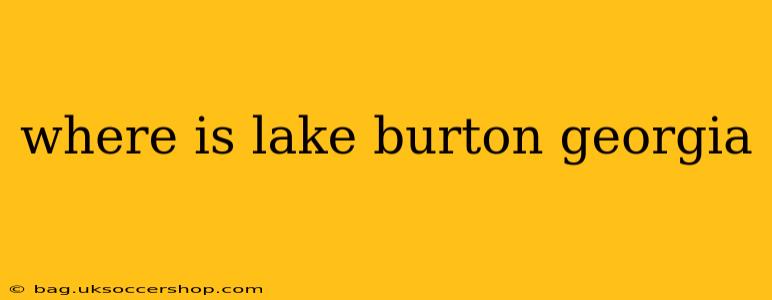 where is lake burton georgia