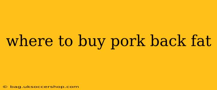 where to buy pork back fat