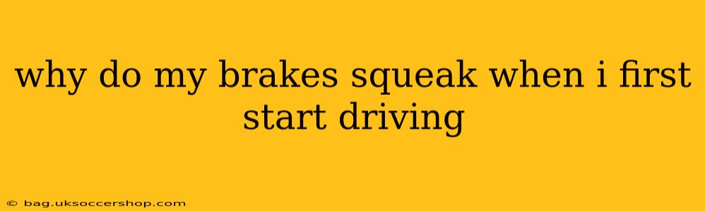 why do my brakes squeak when i first start driving