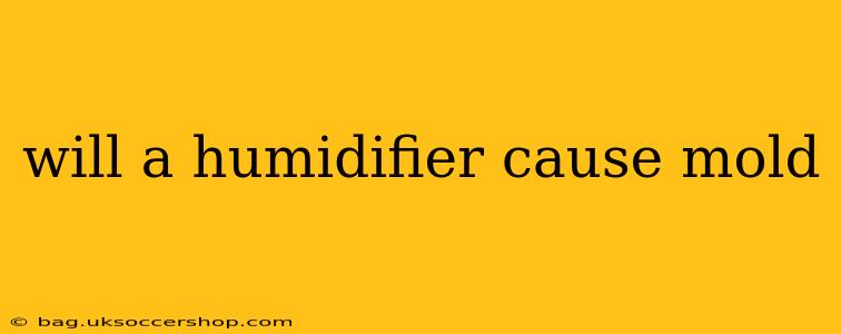 will a humidifier cause mold