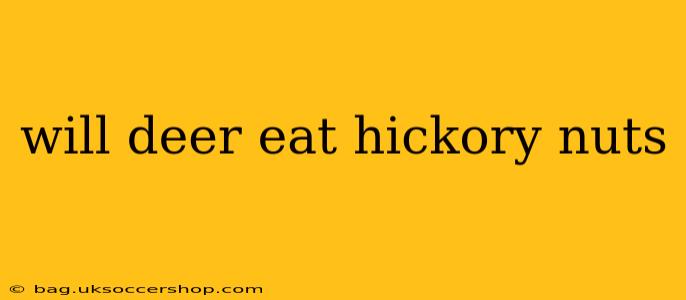 will deer eat hickory nuts