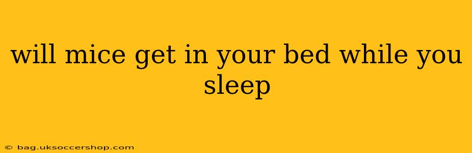 will mice get in your bed while you sleep