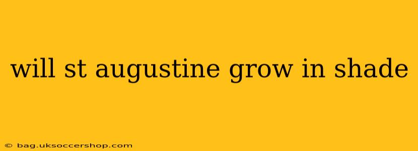 will st augustine grow in shade